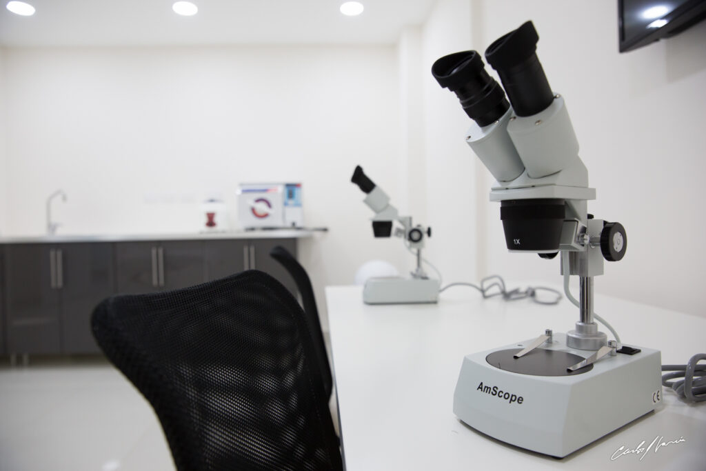 Dra Lisette Pappaterra. CAPMED (Hair Transplant and Aesthetic Medicine). gallery photo