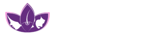 clinic 5084 logo