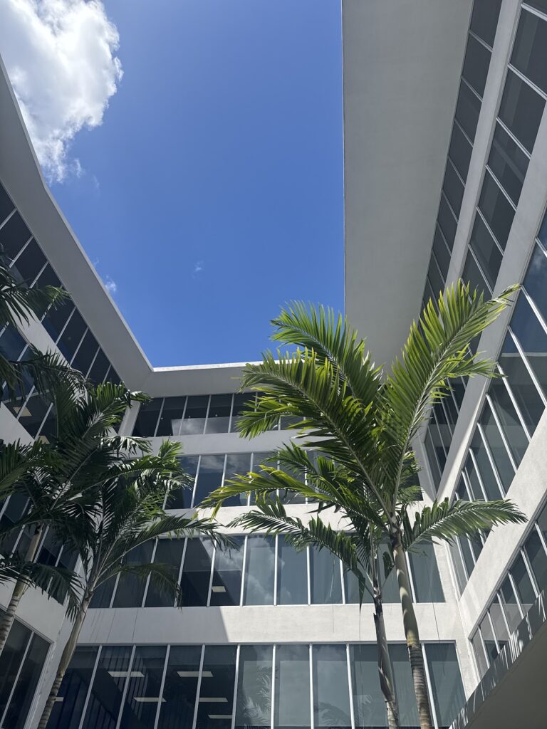 Miami Hair Transplant gallery photo