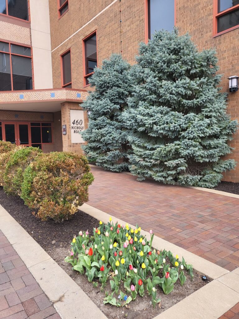 Bosley – Hair Restoration & Transplant – Kansas City gallery photo