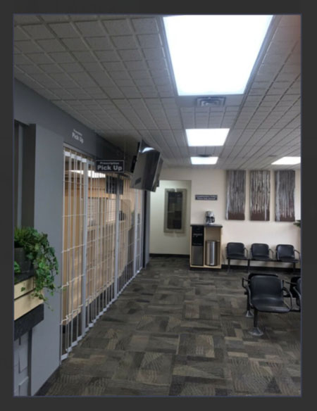NuHair Medical Hair Transplant Centre gallery photo