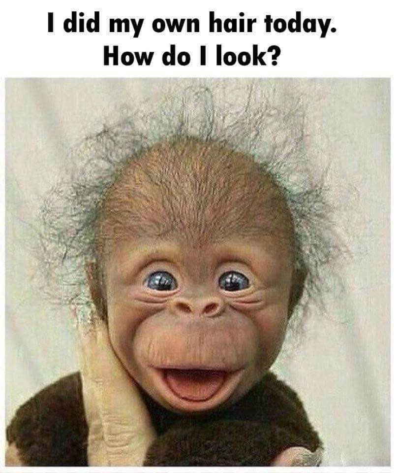 Hair Loss Treatment Center gallery photo